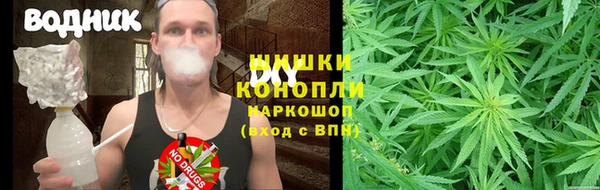 прущий лед Аркадак