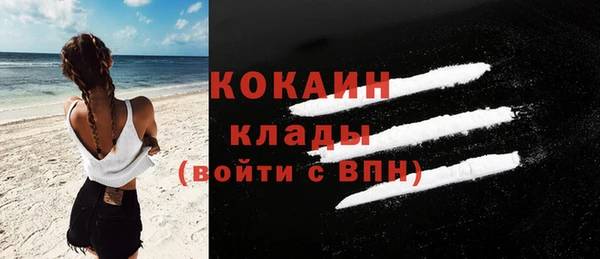 СК Новодвинск