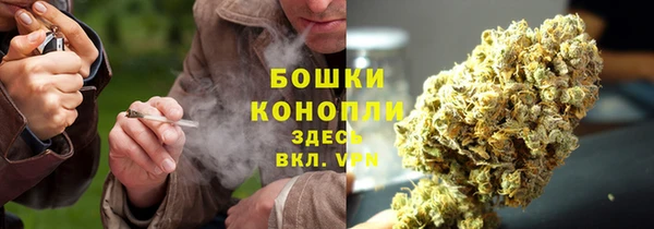 СК Новодвинск