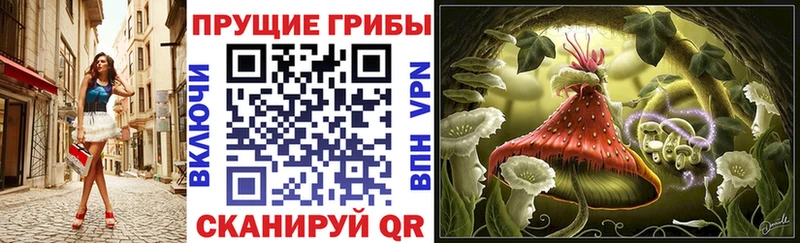 хочу Минеральные Воды Галлюциногенные грибы мицелий