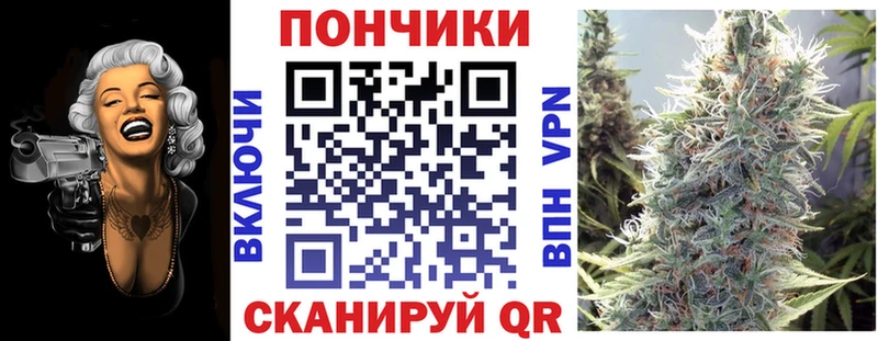 Шишки марихуана марихуана  Минеральные Воды 